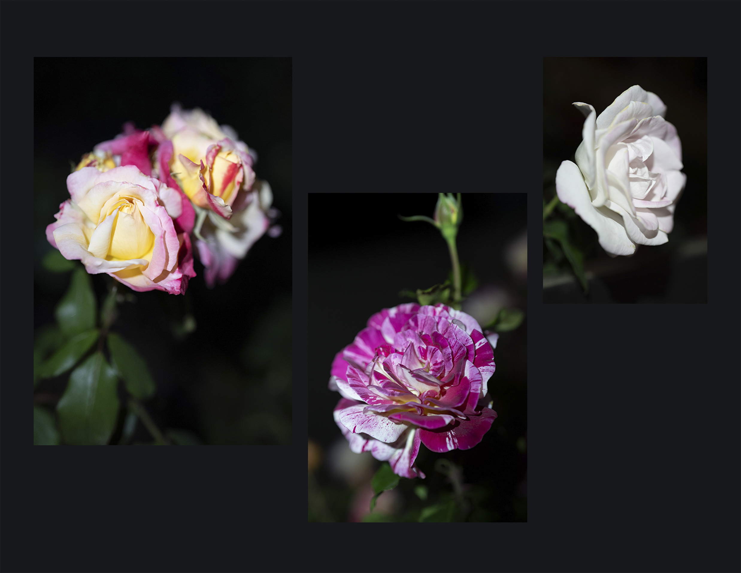 TriptychAsthetic
